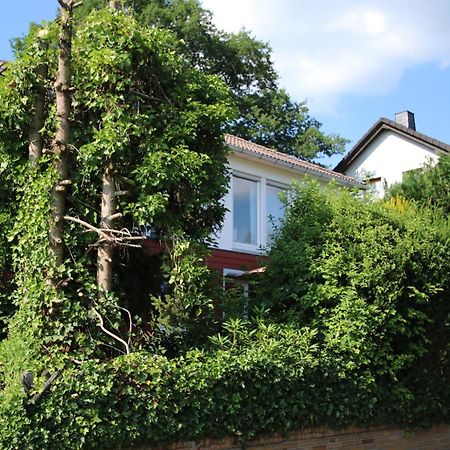 Ferienwohnung Zum Rosengarten West015 Westerwald Driedorf 외부 사진