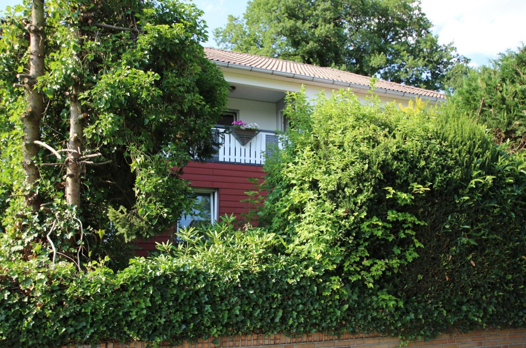 Ferienwohnung Zum Rosengarten West015 Westerwald Driedorf 외부 사진