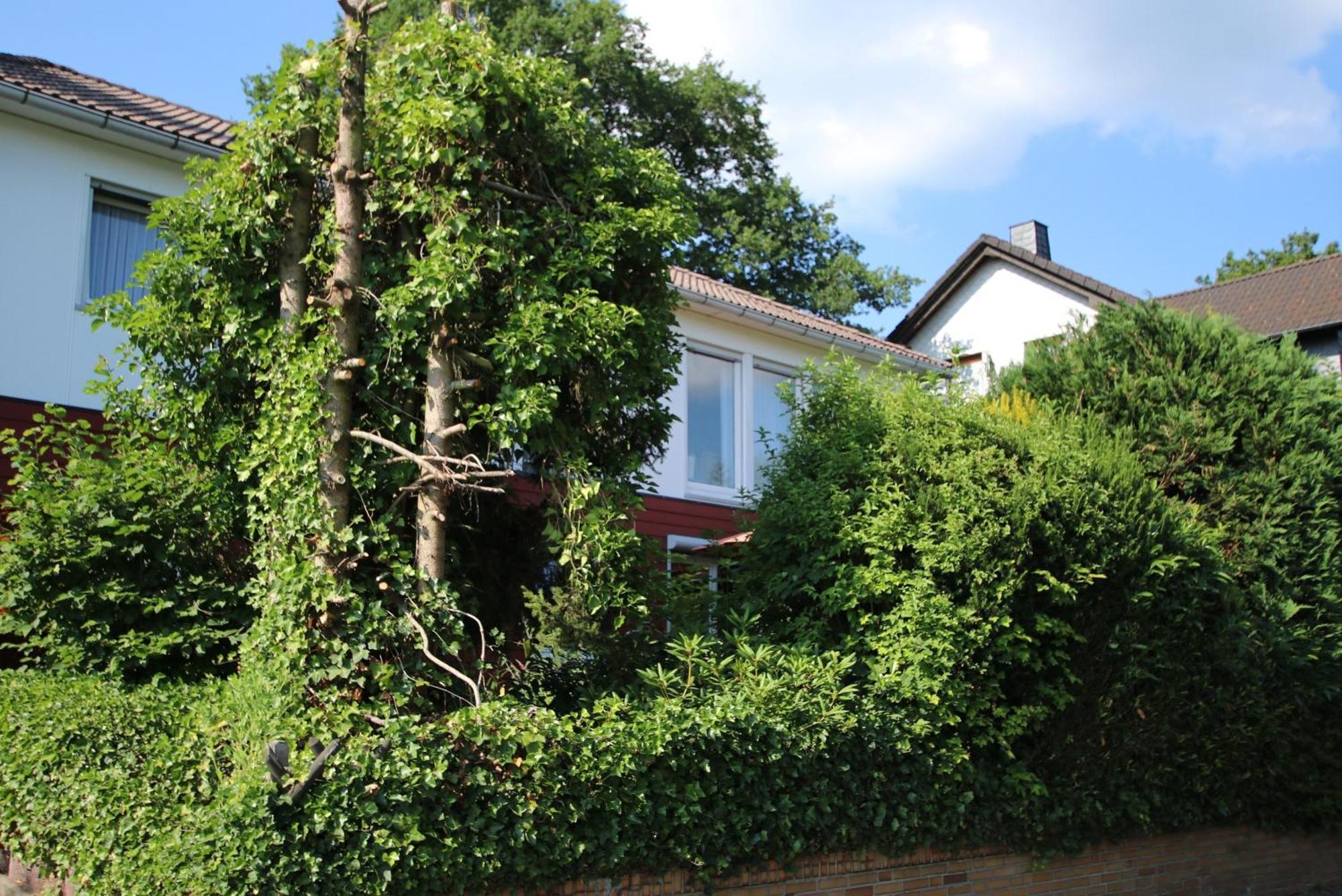 Ferienwohnung Zum Rosengarten West015 Westerwald Driedorf 외부 사진